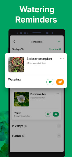 PictureThis - Plant Identifier screenshot