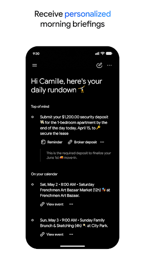 Google Gemini screenshot