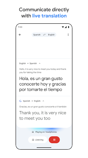 Google Translate screenshot